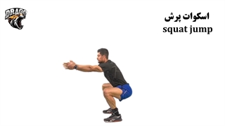 آموزش حرکت اسکوات پرش (Jump Squat)
