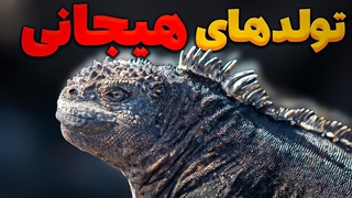 داستان زندگی سه حیوان که زندگی رو با ترس شروع میکنند