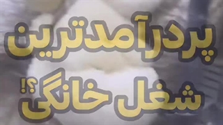 شغل های پردرآمد خانگی بدون سرمایه ( لینک در پایین )