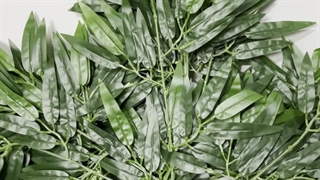 خرید برگ مصنوعی بامبو خیزران 60 سانتی 3 شاخه | فروشگاه ملی