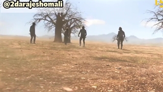 اندام های وستجیال یا بازمانده های ژنتیک