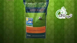 شبدر زینتی دایکوندرا | چمن زینتی 09190993466