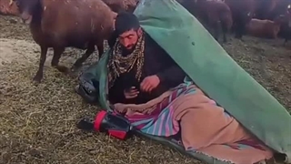 مراقبت چوپان از بره در دل سرما