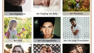 481 دوران زندگی