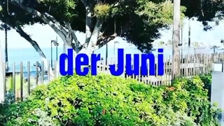 112 ماههای سال