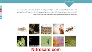 سم نابودی تخم ملخ - بهترین سم ملخ کش