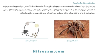 خرید سم رتیل کش - سم رتیل کش قوی