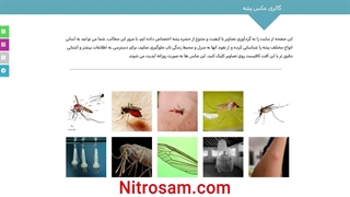 سم نابودی تخم پشه - بهترین سم پشه کش