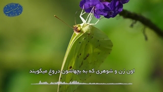 اختلاف در خانه(آیت الله العظمی مظاهری)