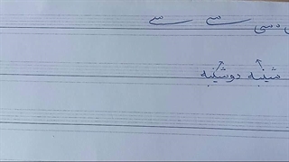 شاخص