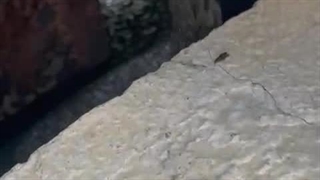 گروت ریزی - بتن شیمی ماهان