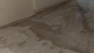 کفسابی در بندر انزلی ، لاهیجان ، لنگرود