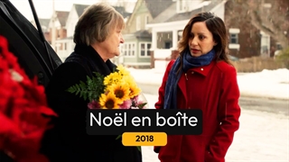 Noël en boîte