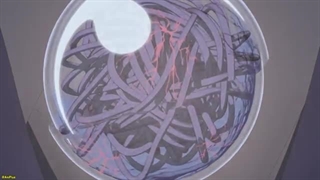 انیمه ازدواج شاد من فصل 2 قسمت 9 زیرنویس فارسی