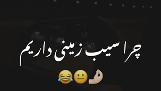 مغز من نصف شبا...