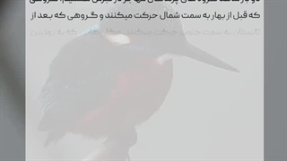 معفی طبیعت قبرس قسمت چهارم