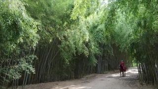 سریال چینی لحظه ای برای ابد قسمت 13 (A Moment but Forever 2025) با زیرنویس فارسی