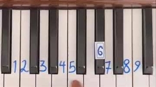 لایو استوری