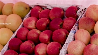 دستکاری ژنتیکی میوها