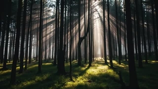 آرامش عمیق با موسیقی پیانو | رهایی از استرس و مراقبه آرامش بخش