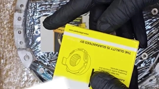 کیت و کلاچ شاهین