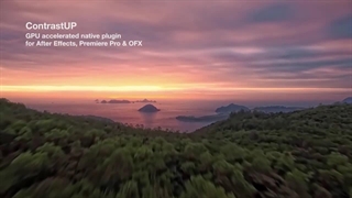 ContrastUp v2.3-999034