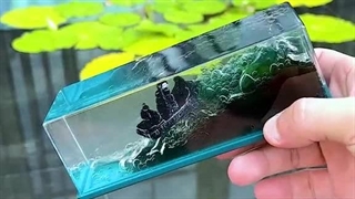 دکوری کشتی معلق دزدان دریایی مروارید سیاه