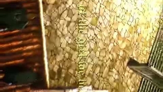 اون لینکی که توی کپشن گذاشتم برین لایک کنین