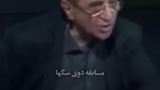 داستان یک یوزپلنگ