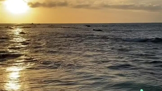 پارت بیست و پنجم رمان THE EDICTION (اعتیاد) یه ادامه کوتاه هم داره که دیگه اینجا جا نشد توی ویدیو بعدی میزارمش