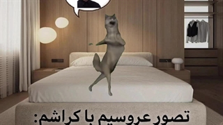 علت بیداری من: