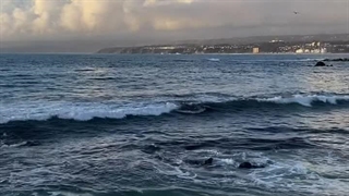 پارت بیست و ششم رمان THE EDICTION (اعتیاد)