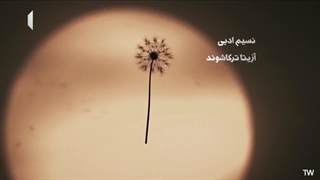 سریال ناریا قسمت 25