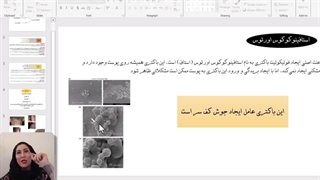 فولیکولیت کف سر