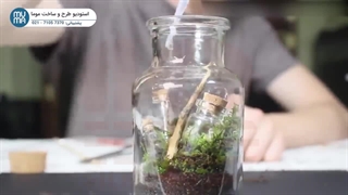 "نحوه ساخت تراریوم آبی: گام به گام با تکنیک‌های خلاقانه"