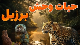 حیات وحش برزیل - حیوانات جنگل های آمازون - مستند حیات وحش