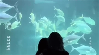 من فقط نمیخواهم اون ترکم کنه