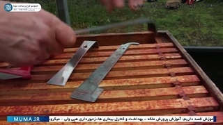 "ابزارهای زنبورداری: راهنمای جامع برای زنبورداران مبتدی - پارت ۱"