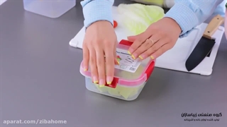 فریزری گاپانا زیبا سازان