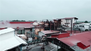 روغن سرخ کنجد