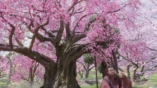 سریال چینی کینه / دشمنی قسمت ۲۸ با زیرنویس