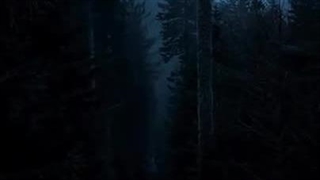 من خستم از این جماعت زنده کش مرده پرست..#کپشن