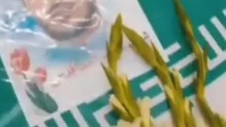 صبر عجیب (سرکار خانم مصباح) مادری که همسر و دو فرزندش شهید شدند