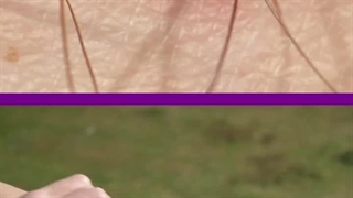 دستگاه دفع حشرات چیست و چگونه کار می‌کند؟ (راهنمای کامل خرید و استفاده)