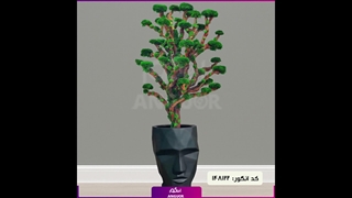 سفارش درخت جاودان
