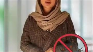 همه چیز درباره دستگاه دفع حشرات | نجات خانه‌تان از مزاحمت پشه‌ها و سوسک‌ها