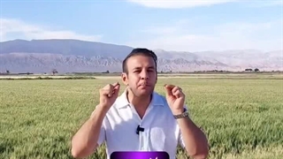 فواید احساسات مثبت. چطور مثبت نگر باشم؟ فواید مثبت نگری