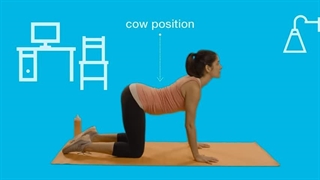 Cat-Cow Pose