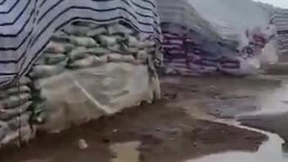 برنج کیلو سی تومنی چجوری شد کیلو ۲۶۰ ، ۲۷۰ تومن؟