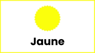 لیست کامل رنگ ها در زبان فرانسه